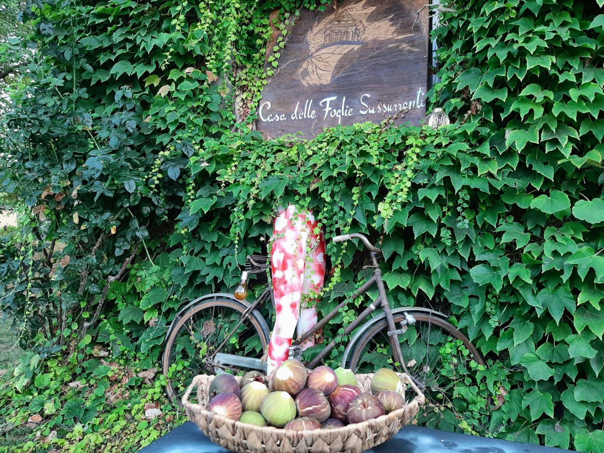 Casa Delle Foglie Sussurranti Villa อัสตี ภายนอก รูปภาพ